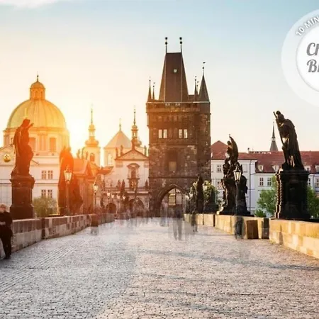 Premium - Free Massages From Physiotherapists * Praag